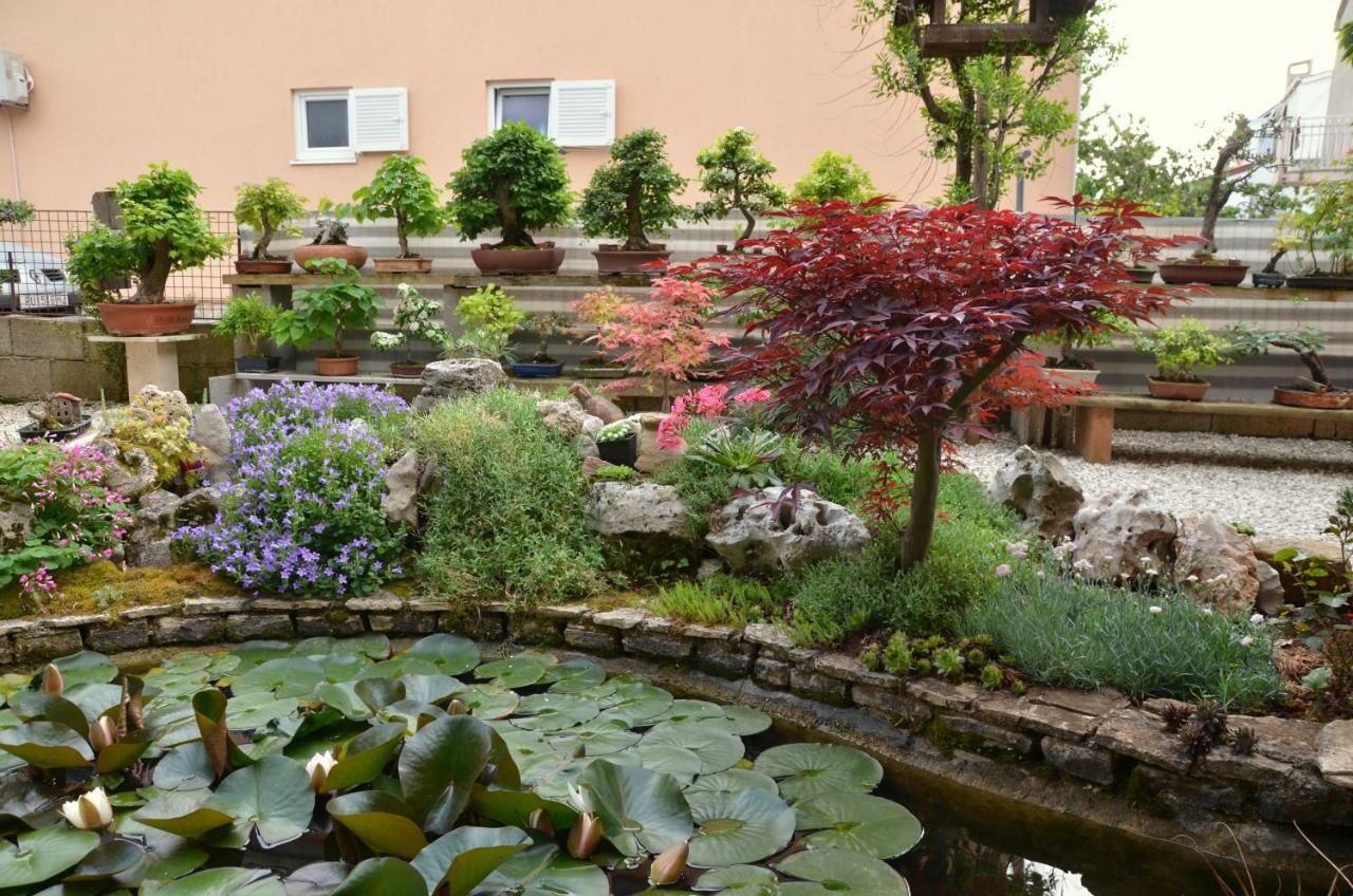 Beautiful Garden By Rent Istria *