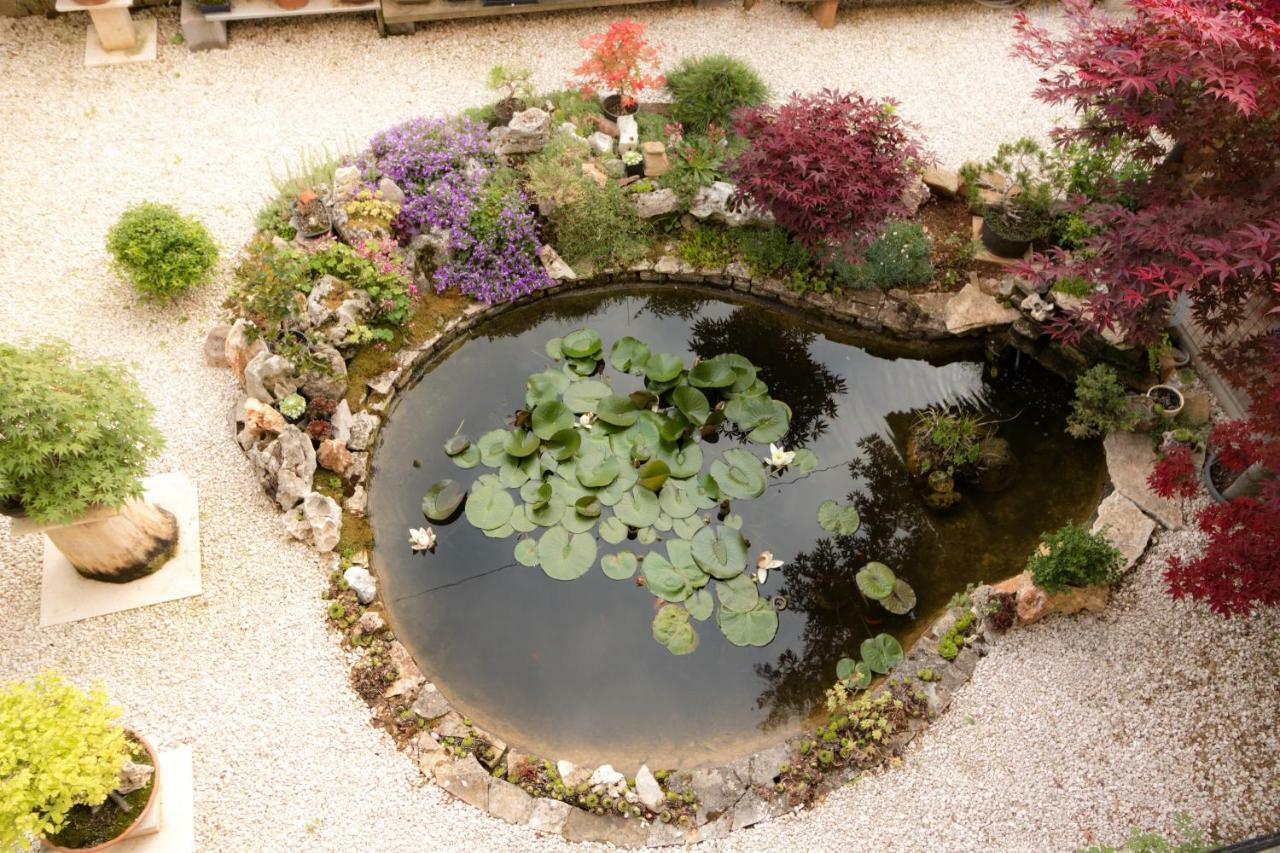 Apartment Beautiful Garden By Rent Istria